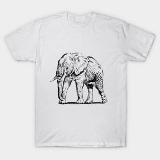 Elephant print T-Shirt